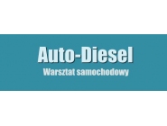 Auto-Diesel. Mechanika pojazdowa. Naprawa pomp wtryskowych Nowy Dwór Wejherowski