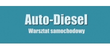 Auto-Diesel. Mechanika pojazdowa. Naprawa pomp wtryskowych Nowy Dwór Wejherowski