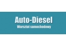 Auto-Diesel. Mechanika pojazdowa. Naprawa pomp wtryskowych Nowy Dwór Wejherowski