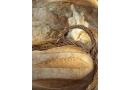 Agon Zakład PHU: piece piekarnicze, garownie ,aparaty wrzutowe do chleba, aparaty wrzutowe do wszystkich rodzajów piecy piekarniczych Trzcianka,wielko