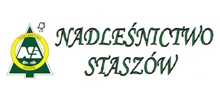 Nadleśnictwo Staszów: ochrona lasu, sprzedaż drewna, hodowla lasu, rezerwaty przyrody