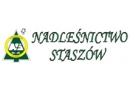 Nadleśnictwo Staszów: ochrona lasu, sprzedaż drewna, hodowla lasu, rezerwaty przyrody