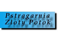 Pstrągarnia: smażalnia pstrąga, hodowla pstrąga Złoty Pstrąg