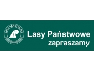 Nadleśnictwo Mrągowo: ochrona lasów państwowych, gospodarka leśna, sprzedaż drewna, hodowla lasu