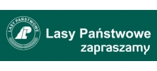 Nadleśnictwo Mrągowo: ochrona lasów państwowych, gospodarka leśna, sprzedaż drewna, hodowla lasu