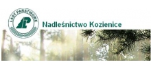 Nadleśnictwo Kozienice