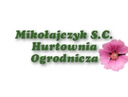 Hurtownia Ogrodnicza Mikołajczyk S.C.: nasiona warzyw, nasiona kwiatów, sprzęt ogrodniczy Kalisz