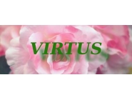 Virtus - Hurtownia sztucznych kwiatów Rybie