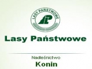 Nadleśnictwo Konin: ochrona lasów państwowych, gospodarka leśna, ochrona fauny i flory leśnej, sprzedaż drewna i sadzonek