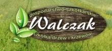 Krzewy Ozdobne Walczak Gospodarstwo Szkółkarskie:drzewa iglaste, krzewy iglaste, ziemia ogrodnicza,krzewy ozdobne iglaste Żelazówka, Dąbrowa Tarnowska