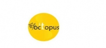 It Octopus: tworzenie stron www, pozycjonowanie stron internetowych, reklama na portalach internetowych, remarketing, google maps Poznań