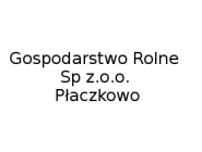 Gospodarstwo Rolne Płaczkowo: burak ćwikłowy, burak cukrowy, cebula żółta, cebula czerwona Płaczkowo, Wielkopolskie