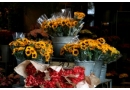 Kwiaciarnia Wiśniewska Grażyna: sprzedaż kwiatów ciętych, dodatki kwiatowe, bukiety okolicznościowe, oprawa kwiaciarska Oborniki