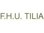 F.H.U. Tilia Bieruń: porządkowanie akt, obsługa archiwów zakładowych, obsługa składnic akt, usługi archiwacyjne, profesjonalna archiwizacja