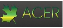 Acer Sp. z o.o.: zakładaniem zieleni przy drogach, wycinka drzew, wycinka krzewów, pielęgnacja drzew, rozdrabnianie gałęzi, frezowanie pni Międzyrzecz