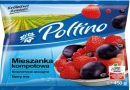 Hortino Leżajsk Sp. z o.o.: przetwórstwo owocowo-warzywne, mrożone owoce i warzywa, dania gotowe, mieszanki warzywne, warzywa na patelnię, Leżajsk