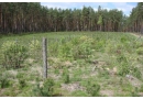 Nadleśnictwo Trzebciny: ochrona lasów państwowych, sprzedaż drewna, edukacja leśna, ochrona lasu, sprzedaż sadzonek
