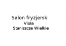 Salon fryzjerski Viola: kuracja regenerująca włosy, strzyżenie męskie, fryzury damskie, fryzury ślubne, farbowanie włosów Staniszcze Wielkie