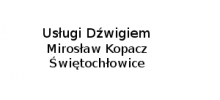 Usługi Dźwigiem M. Kopacz: wynajem dźwigu i żurawi od 14 do 100 ton, naprawy gwarancyjne dźwignic, remonty i modernizacje dźwigów Świętochłowice
