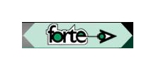 Forte. Nagrywanie CD, DVD, budowa stron www, płyty CD, kopiowanie płyt Warszawa