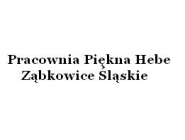 Pracownia Piękna Hebe: peeling kawitacyjny, mikrodermabrazja, zabiegi kwasowe, mikronakłuwanie, koloryzacja włosów, fryzjerstwo Ząbkowice Śląskie