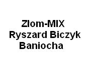 Złom-MIX R. Biczyk: skup złomu stalowego i żeliwnego, skup metali nieżelaznych, skup zużytych urządzeń elektrycznych, skup surowców wtórnych Baniocha