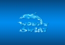 Aquapark Wodny Świat Kudowa Zdrój: brodzik dla dzieci, nauka pływania dla dzieci i dorosłych, fitness w wodzie, basen rekreacyjny i sportowy