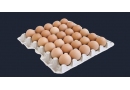 Polajs Sp. z o.o.Sp.K: sprzedaż jaj, jaja przepiórcze, jaja konsumpcyjne, masy jajeczne, jaja kurze, jaja, żółtka płynne, Goleniów, Zachodniopomorskie