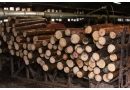 Dreno Uście Gorlickie: produkcja wyrobów z drewna, krawędziaki drewniane, boazeria drewniana, tarcica cięta na wymiar