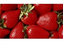 Ter-Pol Teresa Podymniak: handel owocami, handel warzywami, sprzedaż owoców, eksport, jabłka, gruszki, wiśnie, truskawki, pomidory Gośniewice, Warka