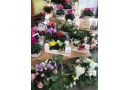 Hurtownia kwiatów: kwiaciarnia, kwiaty cięte, kwiaty doniczkowe, akcesoria kwiatowe, dodatki Nowa Sól