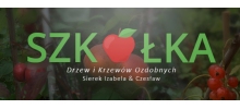 Szkółka Drzew Owocowych i Krzewów Ozdobnych Czesław Sierek: wyprzedaż drzew owocowych, krzewów owocowych, krzewów jagodowych, iglastych, Kozy.