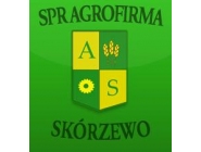 Spółdzielnia Produkcji Rolnej Agrofirma: pszenica, żyto, pszenżyto, rzepak, sprzedaż trzody, sprzedaż zboża, kukurydza na ziarno Skórzewo