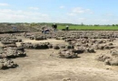 Izis. Usługi archeologiczne