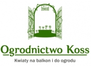 Ogrodnictwo Wiesława Koss Gdynia: kwiaty rabatowe, hodowla kwiatów doniczkowych, hodowla kwiatów balkonowych, obsadzanie doniczek