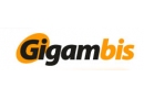 Gigam-Bis. z o.o. producent ogrodzeń betonowych, płytki elewacyjne, bloczki łupane, beton łamany, panele ogrodzeniowe Suchy Dąb
