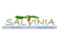 Salvinia Sp.J. D.