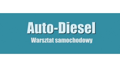 Auto-Diesel. Mechanika pojazdowa. Naprawa pomp wtryskowych Nowy Dwór Wejherowski