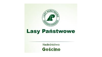 Nadleśnictwo Gościno: sprzedaż drewna, ochrona lasów państwowych, gospodarka leśna Gościno