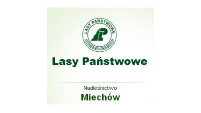 Nadleśnictwo Miechów: ochrona lasów państwowych, sprzedaż drewna i sadzonek, gospodarka leśna