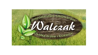 Krzewy Ozdobne Walczak Gospodarstwo Szkółkarskie:drzewa iglaste, krzewy iglaste, ziemia ogrodnicza,krzewy ozdobne iglaste Żelazówka, Dąbrowa Tarnowska