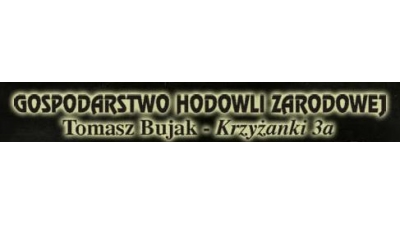 Gospodarstwo Hodowli Zarodowej: sprzedaż knurek i loszek, krzyżówki knurek, transport zwierząt, WBP, Duroc, Pietrain, PBZ Pępowo