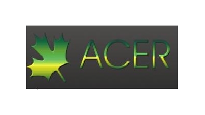 Acer Sp. z o.o.: zakładaniem zieleni przy drogach, wycinka drzew, wycinka krzewów, pielęgnacja drzew, rozdrabnianie gałęzi, frezowanie pni Międzyrzecz