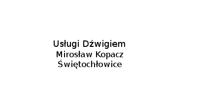 Usługi Dźwigiem M. Kopacz: wynajem dźwigu i żurawi od 14 do 100 ton, naprawy gwarancyjne dźwignic, remonty i modernizacje dźwigów Świętochłowice