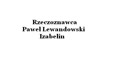 Rzeczoznawca Paweł Lewandowski: badania techniczne pojazdów, wycena samochodów, wycena środków trwałych, pomoc w zakupie samochodu Izabelin