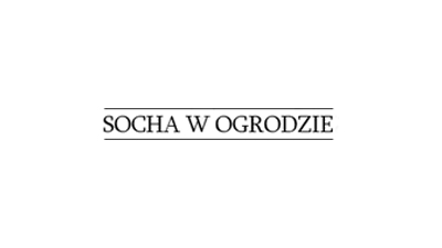 Socha w ogrodzie Głowno: projektowanie, wykonawstwo ogrodów