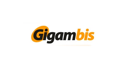 Gigam-Bis. z o.o. producent ogrodzeń betonowych, płytki elewacyjne, bloczki łupane, beton łamany, panele ogrodzeniowe Suchy Dąb